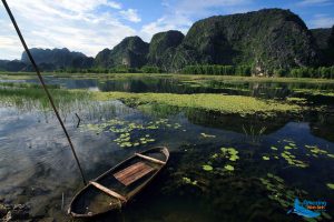 Van Long – Nature Reserve in Ninh Binh - Amazing Ninh Binh