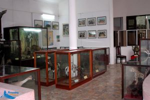 Ninh Binh Museum - Amazing Ninh Binh