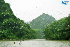 Thung Nham Bird Park - Amazing Ninh Binh