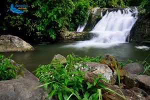 Tu Son Waterfalls - Nine Silver Silk Strips among Wilderness